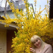 ���������� ��������������, ���� ������� �������, 60 ���, ������������ 