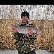 ���������� ������, ���� ������� ���������, 40 ���, ������������ ��� ������, ����� � ���������