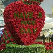   ,   Marcia, 60 ,   ,   , c 