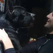 ���������� �����������, ���� ������� �������, 44 ����, ������������ ��� ������, ����� � ���������, c�������� ���������