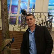 ���������� ����, ������� ���������, 50