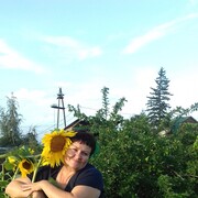  -,   , 54 ,  