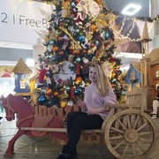 ���������� �����, ���� ������� ��������, 29 ���, ������������ 