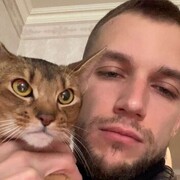 ���������� �����-���������, ���� ������� ����, 33 ����, ������������ ��� ������, ����� � ���������