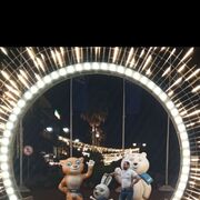 ���������� ��������, ���� ������� ������, 39 ���, ������������ ��� ������, ����� � ���������