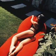 ���������� �����������, ���� ������� ���������, 34 ����, ������������ ��� ������, ����� � ���������