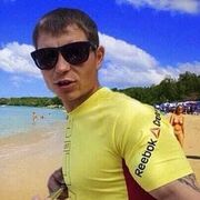 ���������� �������, ���� ������� ����, 38 ���, ������������ ��� ������, ����� � ���������