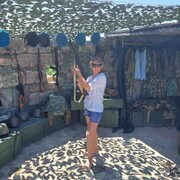 ���������� �������, ���� ������� �������, 42 ����, ������������ ��� ������, ����� � ���������, c�������� ���������