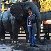 ���������� �����, ���� ������� �����, 52 ����, ������������ ��� ������, ����� � ���������, c�������� ���������