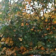 ���������� ����, ���� ������� Habil, 41 ���, ������������ ��� ����� � ���������