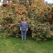 ���������� �������, ���� ������� �����, 47 ���, ������������ ��� ����� � ���������, c�������� ���������