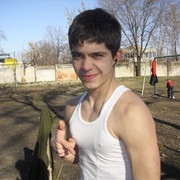  Gibbon,  kolea, 31