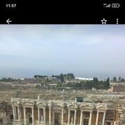 ���������� ���������, ���� ������� �������, 44 ����, ������������ ��� ������, ����� � ���������, c�������� ���������