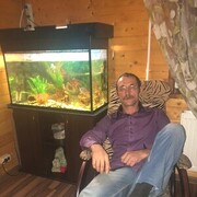  ,   , 54 ,   