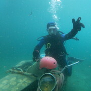 ���������� �����������, ���� ������� �������, 39 ���, ������������ ��� ������, ����� � ���������, c�������� ���������, ���������