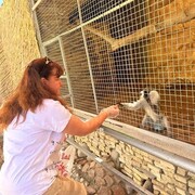  ,   Elena, 52 ,   c 