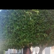  ,   , 50 ,   c 