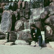 ���������� ���������, ���� ����� �����, 25 ���, ������������ ��� ������, ����� � ���������, c�������� ���������, ���������