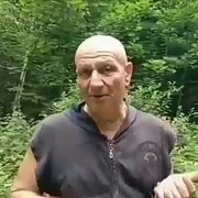   ,  , 48