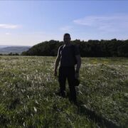 ���������� �����������, ���� ������� ����, 39 ���, ������������ ��� ������