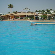 ���������� ������, ���� ������� D m i t r y, 42 ����, ������������ ��� ������