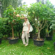  ,   , 50 ,   ,   , c 
