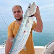 ���������� ���������, ������� �����, 37