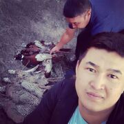 ���������� ������, ���� ������� �����, 34 ����, ������������ ��� ������, ����� � ���������