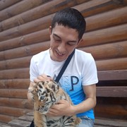 ���������� ���������, ���� ������� ������, 38 ���, ������������ ��� ������, ����� � ���������, c�������� ���������