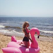 ���������� ���������, ���� ������� ���������, 29 ���, ������������ 