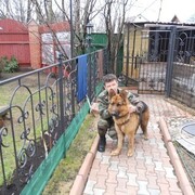  ,   , 50 ,   ,   