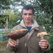  ,   , 43 ,   c 