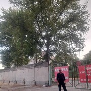 ���������� �����������, ���� ������� �����, 41 ���, ������������ ��� ����� � ���������, c�������� ���������