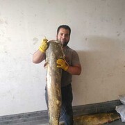  ,   , 39 ,   ,   