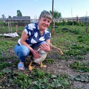  ,   , 52 ,   