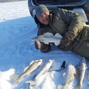 ���������� �����������, ���� ������� �����, 43 ����, ������������ ��� c�������� ���������