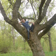 ���������� ������ ���, ���� ������� ������, 42 ����, ������������ ��� ������, ����� � ���������, c�������� ���������