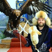 ���������� ���������, ���� ������� �������, 36 ���, ������������ ��� ����� � ���������, c�������� ���������, ���������