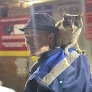 ���������� �����, ���� ������� ����, 33 ����, ������������ ��� ������, ����� � ���������, c�������� ���������, ���������