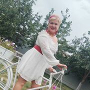 ���������� �������, ���� ������� �������, 48 ���, ������������ ��� ������, ����� � ���������