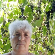  ,   , 67 ,   c 