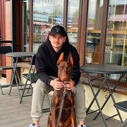 ���������� �����-�����, ������� �����, 26