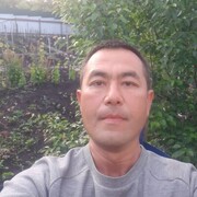 ���������� �����, ���� ������� Lion, 41 ���, ������������ ��� ������, ����� � ���������