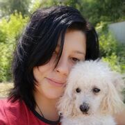 ���������� ��������, ���� ������� ���������, 31 ���, ������������ ��� ����� � ���������, c�������� ���������, ���������