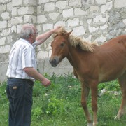 ���������� �������, ���� ������� �����, 69 ���, ������������ ��� ������, ����� � ���������, c�������� ���������