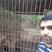  ,   Namiq, 41 ,   ,   , c 