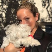 ���������� �����-���������, ���� ������� ��������, 30 ���, ������������ ��� ������, ����� � ���������