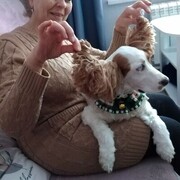 ���������� ��������, ���� ������� ������, 56 ���, ������������ ��� ������, ����� � ���������