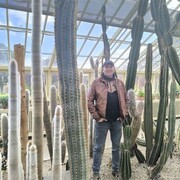 ���������� �������, ���� ������� ����������, 53 ����, ������������ ��� ������, ����� � ���������