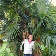  ,   Zhendik, 34 ,   ,   , c , 
